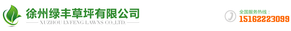 徐州精品高跟丝袜AV麻豆久久久草坪有限公司